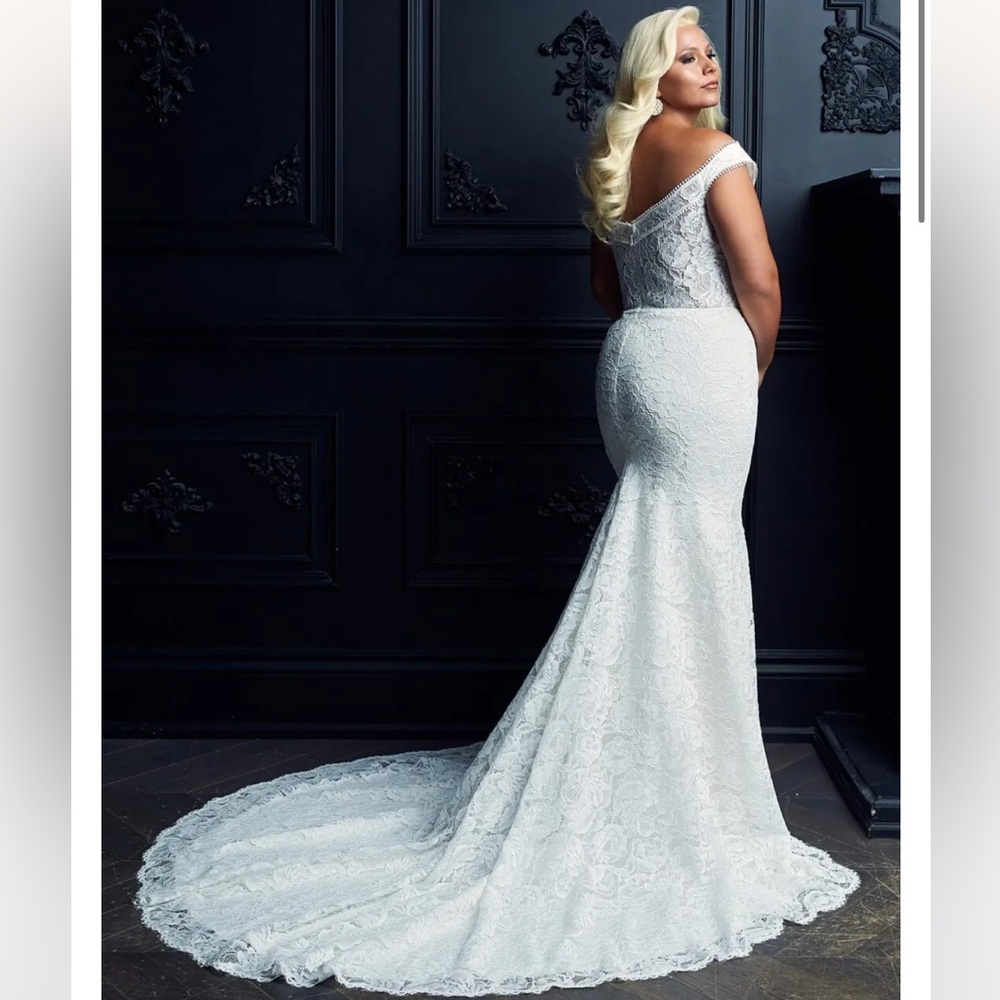 Paloma Blanca - #4976 - Picture 3 of 3